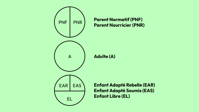 Parent Normatif, Parent Nourricier, Adulte, Enfant Adapté Rebelle, Enfant Adapté Soumis, Enfant Libre